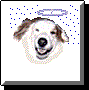 angel dog